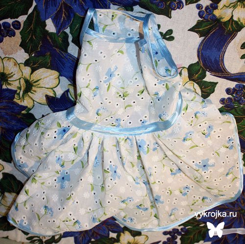 Выкройка платья для собаки Выкройка платья для собаки